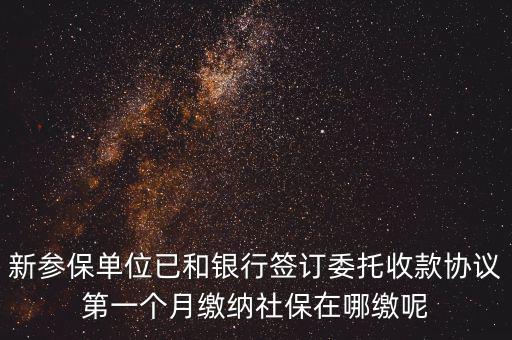 新參保單位已和銀行簽訂委托收款協(xié)議第一個(gè)月繳納社保在哪繳呢