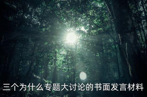 三個(gè)為什么專題大討論的書(shū)面發(fā)言材料