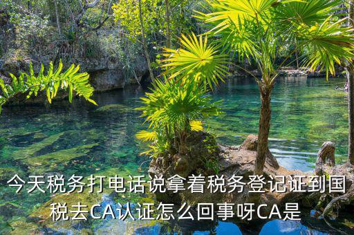 電子稅務(wù)局什么是ca登錄，網(wǎng)上報稅CA驗證系統(tǒng)是甚么