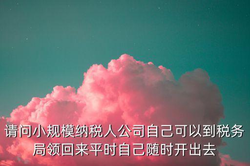 請問小規(guī)模納稅人公司自己可以到稅務局領回來平時自己隨時開出去