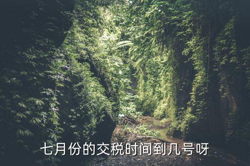 福建地稅7月報(bào)稅到什么時(shí)候，請(qǐng)問7月份國稅地稅的征期截止到哪天