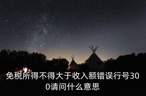 免稅所得不得大于收入額錯(cuò)誤行號(hào)300請(qǐng)問什么意思