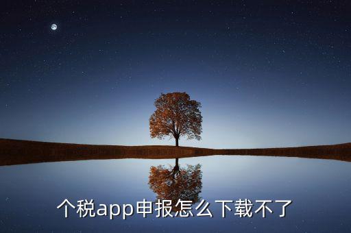 個稅app申報怎么下載不了