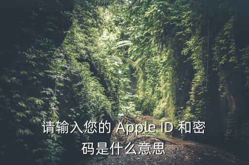 查詢個稅 密碼是輸入什么，請輸入您的 Apple ID 和密碼是什么意思