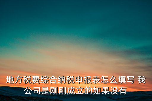 地稅不開票需填什么表，地方稅費綜合納稅申報表怎么填寫 我公司是剛剛成立的如果沒有