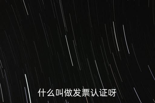 什么叫做發(fā)票認(rèn)證呀