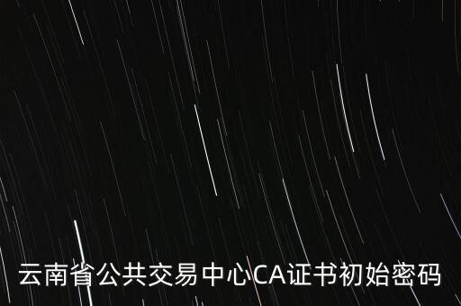 ca證書的原始密碼是什么意思，云南省公共交易中心CA證書初始密碼