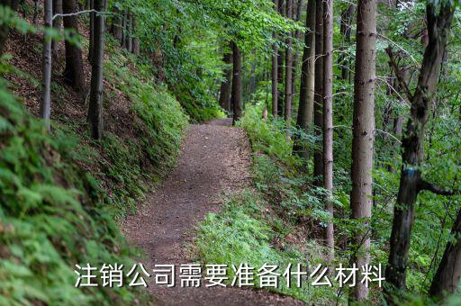 公司注銷帶什么資料嗎，公司銷戶要帶什么資料