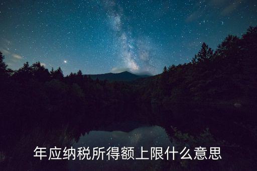 年應(yīng)納稅所得額上限什么意思