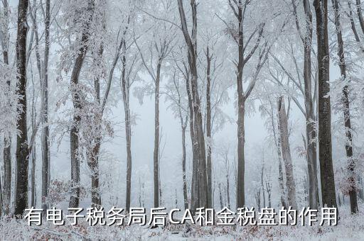 交稅ca是什么意思，增值稅網(wǎng)上認(rèn)證新建賬戶時顯示CA初始化失敗沒有設(shè)備什么意思