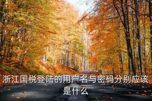 浙江國(guó)稅登陸的用戶名與密碼分別應(yīng)該是什么