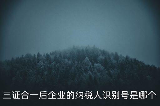 三證合一后企業(yè)的納稅人識別號是哪個(gè)