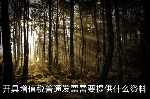 開增值稅提供什么資料，開具增值稅普通發(fā)票需要提供什么資料