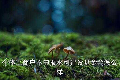 水利基金不報有什么后果，水利建設(shè)基金計稅當月沒報有影響嗎