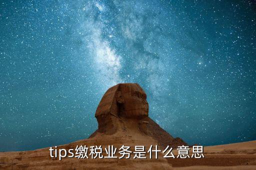 地稅tips繳款是什么意思，tips扣稅是什么意思