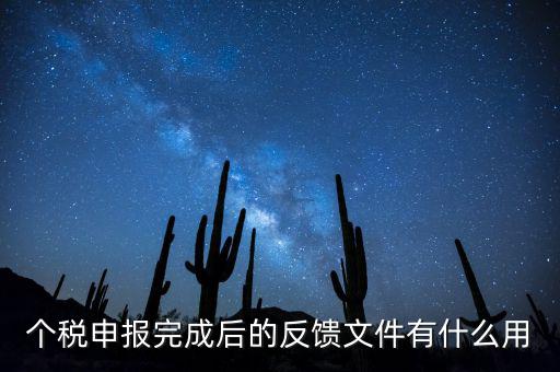 個稅申報(bào)完成后的反饋文件有什么用