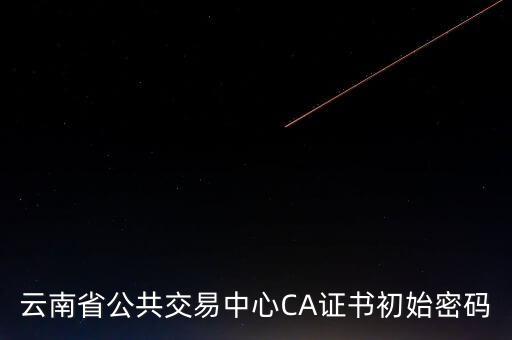 ca原始密碼登錄是什么，蘇州投標ca初始密碼