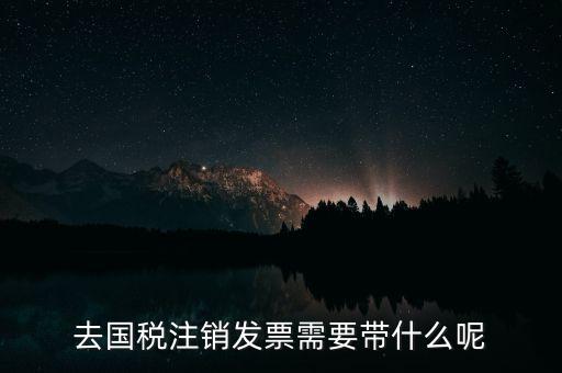 去國稅注銷發(fā)票需要帶什么呢