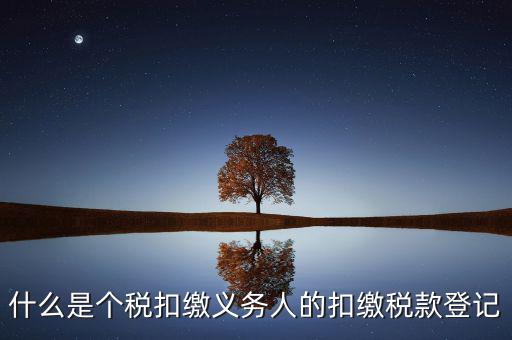 什么是個稅扣繳義務人的扣繳稅款登記