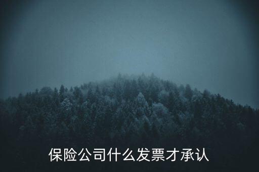 保險公司要什么發(fā)票，保險公司什么發(fā)票才承認(rèn)