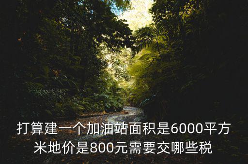 加油站都繳什么稅，打算建一個(gè)加油站面積是6000平方米地價(jià)是800元需要交哪些稅