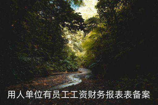 財(cái)務(wù)備案是什么意思，備案是什么意思