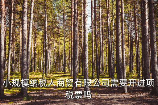 小規(guī)模納稅人商貿(mào)有限公司需要開進(jìn)項稅票嗎