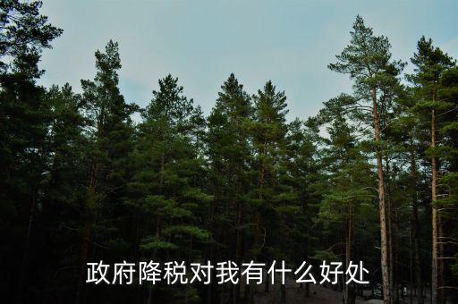 減稅有什么調(diào)節(jié)作用，政府降稅對我有什么好處