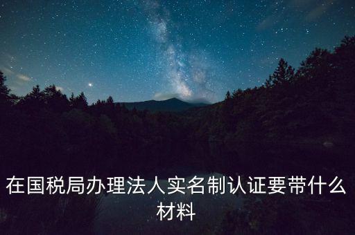 服務(wù)廳實(shí)名辦稅要帶什么，服務(wù)業(yè)辦稅務(wù)登記要些什么證件