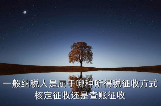 一般納稅人屬于什么，什么是一般納稅人