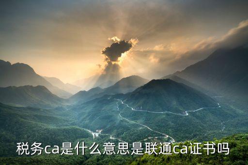 稅務ca是什么意思是聯(lián)通ca證書嗎