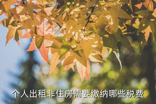 個(gè)人出租非住房需要繳納哪些稅費(fèi)