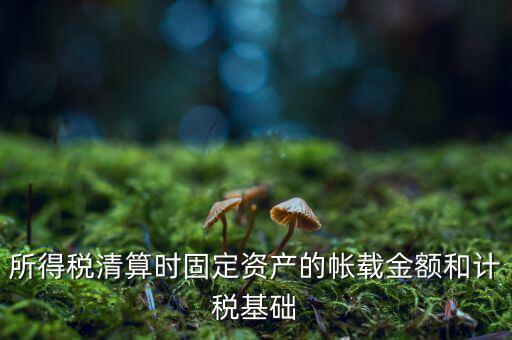 所得稅清算時固定資產(chǎn)的帳載金額和計稅基礎(chǔ)