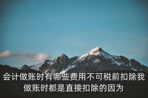 什么不可以稅前扣除嗎，納稅人哪些支出不能在企業(yè)所得稅前扣除