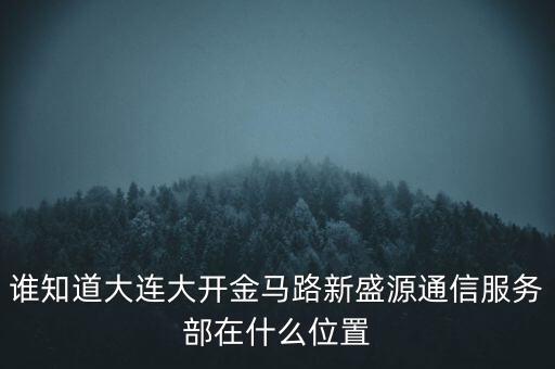 信息服務(wù)部可以叫什么地方，誰知道大連大開金馬路新盛源通信服務(wù)部在什么位置