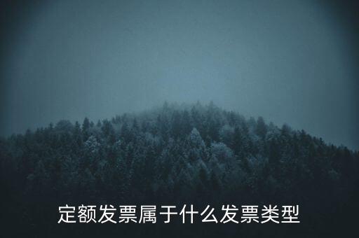 定額發(fā)票什么，河南省地稅定額發(fā)票怎么查詢