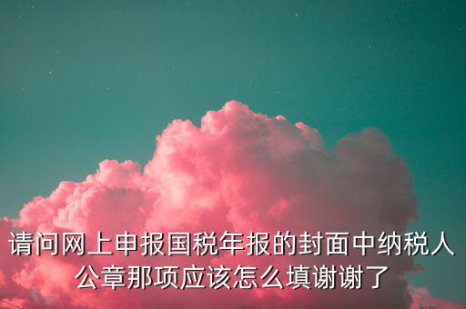 請(qǐng)問網(wǎng)上申報(bào)國稅年報(bào)的封面中納稅人公章那項(xiàng)應(yīng)該怎么填謝謝了