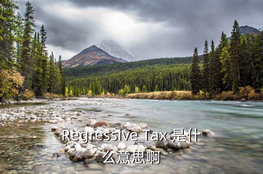 什么是稅收穿透，passthrough taxation是什么意思是直接繳稅嘛