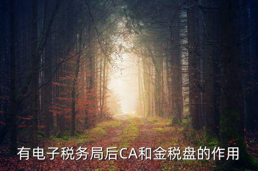 電子稅務(wù)局有什么用，有電子稅務(wù)局后CA和金稅盤的作用