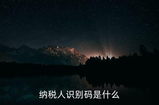 網(wǎng)上報稅納稅人識別碼是什么，納稅人識別碼是什么