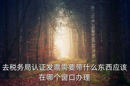 去稅務局認證發(fā)票需要帶什么東西應該在哪個窗口辦理