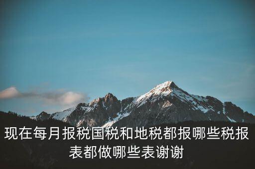 國稅報什么，現(xiàn)在每月報稅國稅和地稅都報哪些稅報表都做哪些表謝謝