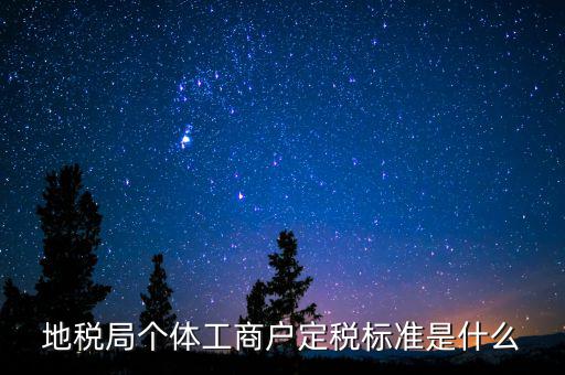 地稅局個(gè)體工商戶(hù)定稅標(biāo)準(zhǔn)是什么