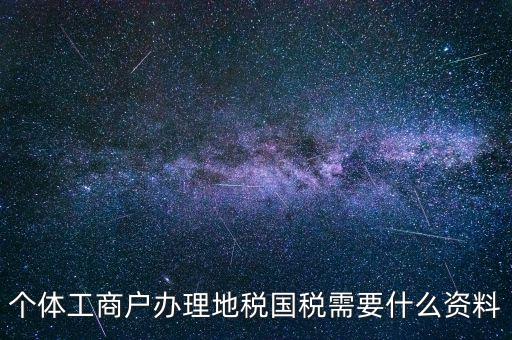 個(gè)體工商戶辦理地稅國稅需要什么資料