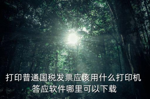 打國稅發(fā)票用什么軟件，打印普通國稅發(fā)票應(yīng)該用什么打印機 答應(yīng)軟件哪里可以下載