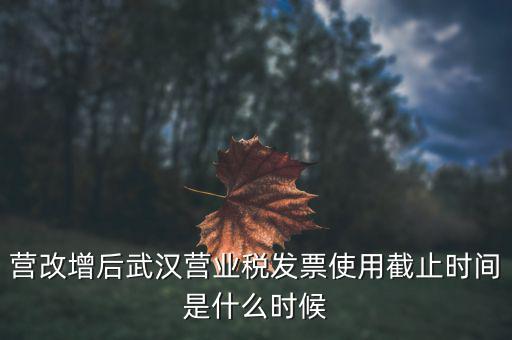 營改增后武漢營業(yè)稅發(fā)票使用截止時間是什么時候