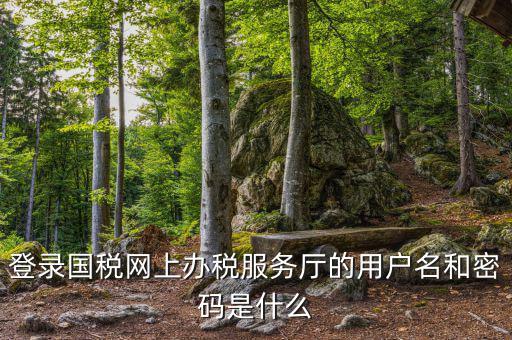 登錄國稅網(wǎng)上辦稅服務廳的用戶名和密碼是什么