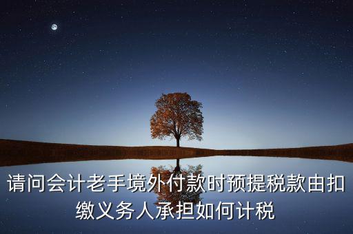 請問會計老手境外付款時預(yù)提稅款由扣繳義務(wù)人承擔如何計稅