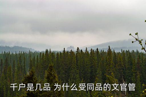 什么千戶集團(tuán)，千戶是什么意思