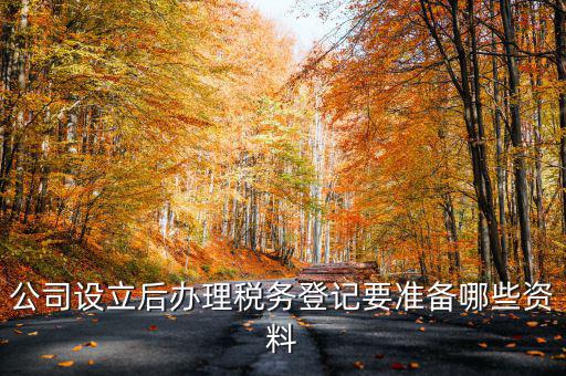 公司設(shè)立后辦理稅務(wù)登記要準備哪些資料